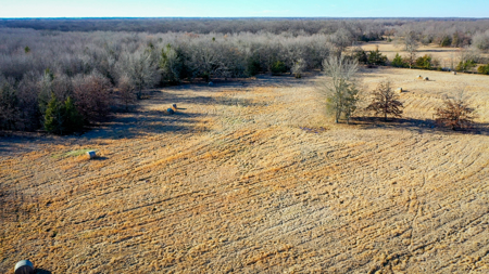 Recreational & Hunting Property in Lamar and Red River County, TX - image 15