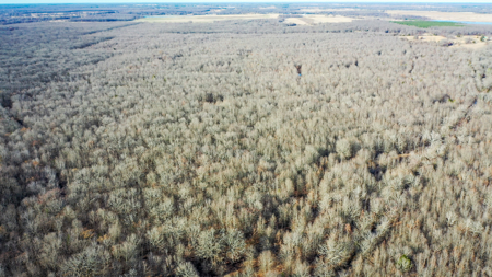 Recreational & Hunting Property in Lamar and Red River County, TX - image 17