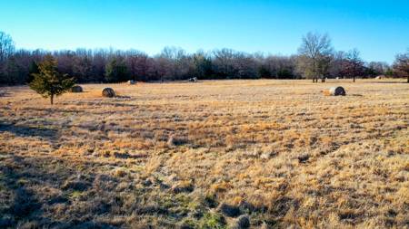 Recreational & Hunting Property in Lamar and Red River County, TX - image 9