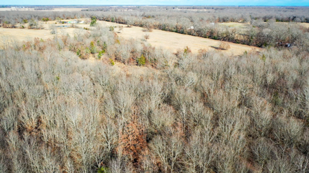 Recreational & Hunting Property in Lamar and Red River County, TX - image 24