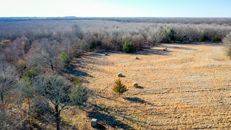 Recreational & Hunting Property in Lamar and Red River County, TX - image 23