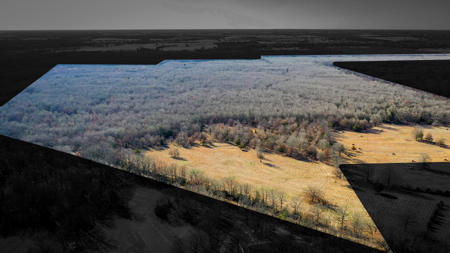 Recreational & Hunting Property in Lamar and Red River County, TX - image 2