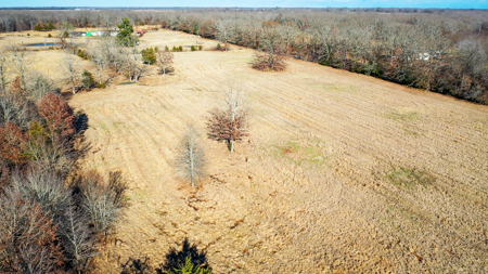 Recreational & Hunting Property in Lamar and Red River County, TX - image 26