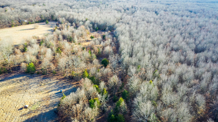 Recreational & Hunting Property in Lamar and Red River County, TX - image 7