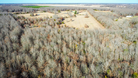 Recreational & Hunting Property in Lamar and Red River County, TX - image 20