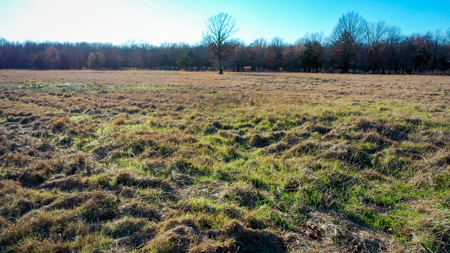 Recreational & Hunting Property in Lamar and Red River County, TX - image 38