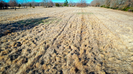 Recreational & Hunting Property in Lamar and Red River County, TX - image 4