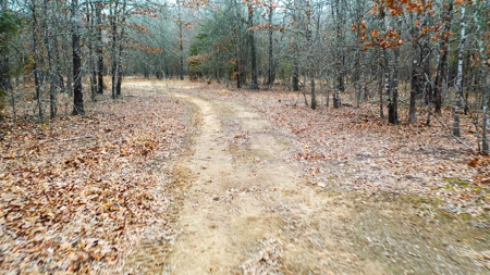 Recreational & Hunting Property in Lamar and Red River County, TX - image 35