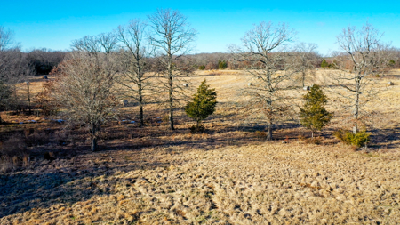 Recreational & Hunting Property in Lamar and Red River County, TX - image 14