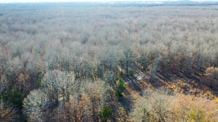 Recreational & Hunting Property in Lamar and Red River County, TX - image 13