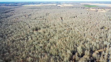 Recreational & Hunting Property in Lamar and Red River County, TX - image 18