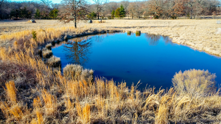 Recreational & Hunting Property in Lamar and Red River County, TX - image 6