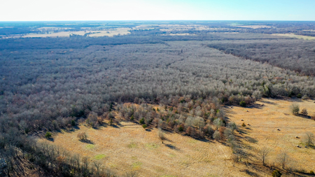 Recreational & Hunting Property in Lamar and Red River County, TX - image 29