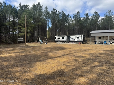 220 Acres South MS Hunting Tract with Camp/Homesite - image 5