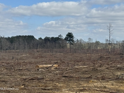 220 Acres South MS Hunting Tract with Camp/Homesite - image 13