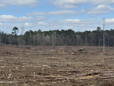220 Acres South MS Hunting Tract with Camp/Homesite - image 12
