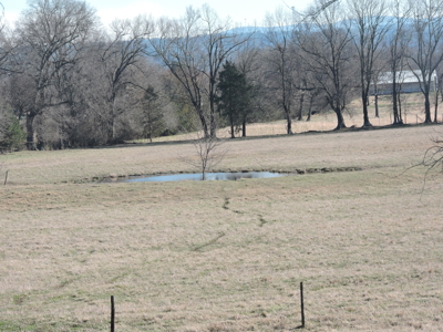 Stunning Hilltop Retreat 66 Acres Breathtaking Mountain VIEWS - image 33