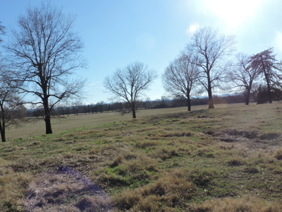 Stunning Hilltop Retreat 66 Acres Breathtaking Mountain VIEWS - image 38