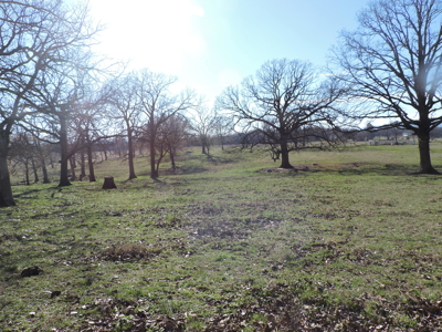 Stunning Hilltop Retreat 66 Acres Breathtaking Mountain VIEWS - image 32