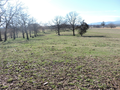 Stunning Hilltop Retreat 66 Acres Breathtaking Mountain VIEWS - image 5