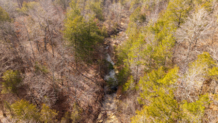 Wooded Acreage in the Missouri Ozarks | Gainesville - image 11