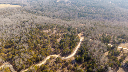 Wooded Acreage in the Missouri Ozarks | Gainesville - image 3