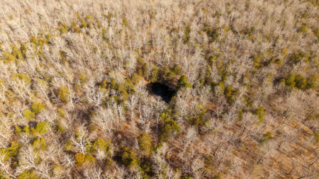 Wooded Acreage in the Missouri Ozarks | Gainesville - image 7