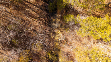 Wooded Acreage in the Missouri Ozarks | Gainesville - image 12
