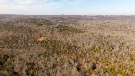 Wooded Acreage in the Missouri Ozarks | Gainesville - image 13