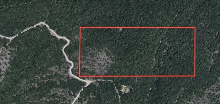 Wooded Acreage in the Missouri Ozarks | Gainesville - image 2