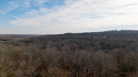 Wooded Acreage in the Missouri Ozarks | Gainesville - image 16