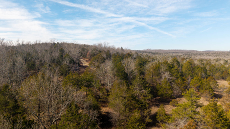 Wooded Acreage in the Missouri Ozarks | Gainesville - image 14