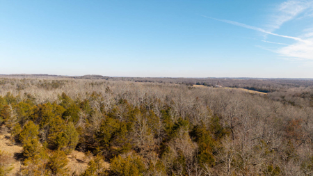 Wooded Acreage in the Missouri Ozarks | Gainesville - image 15