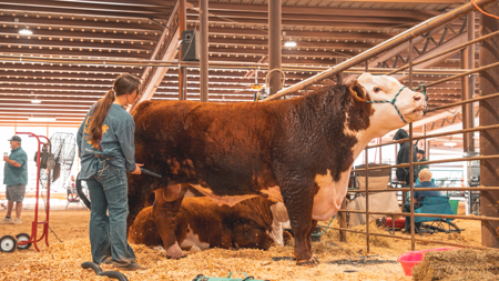 Premier Livestock, Agricultural & Multi-Purpose Event Facility - image 50