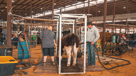 Premier Livestock, Agricultural & Multi-Purpose Event Facility - image 47