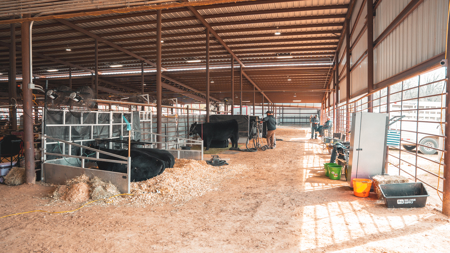 Premier Livestock, Agricultural & Multi-Purpose Event Facility - image 46