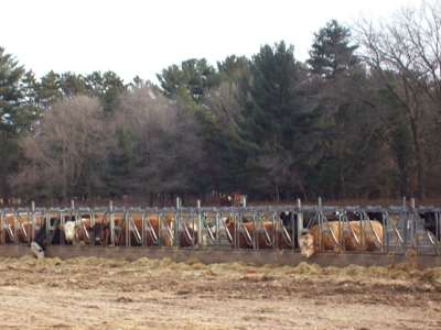 Marquette County Country Home on 34 +/- Acres - image 12