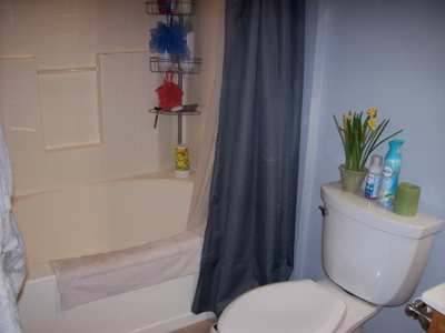 Marquette County Country Home on 34 +/- Acres - image 41