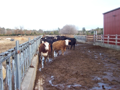 Marquette County Country Home on 34 +/- Acres - image 10