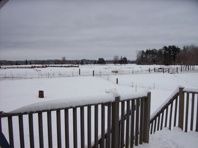 Marquette County Country Home on 34 +/- Acres - image 50