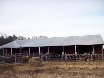 Marquette County Country Home on 34 +/- Acres - image 5