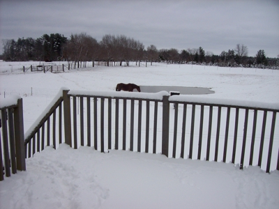 Marquette County Country Home on 34 +/- Acres - image 49