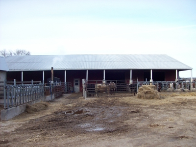 Marquette County Country Home on 34 +/- Acres - image 3