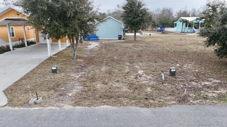 Vacant Lot For Sale in Steinhatchee, FL - image 2