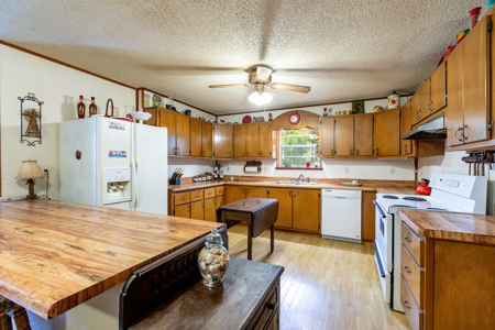 Suwannee River Retreat | 3 Acres with Scenic Water Views - image 30