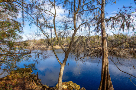 Suwannee River Retreat | 3 Acres with Scenic Water Views - image 3
