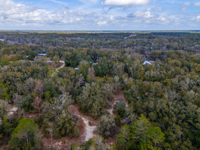 Suwannee River Retreat | 3 Acres with Scenic Water Views - image 42