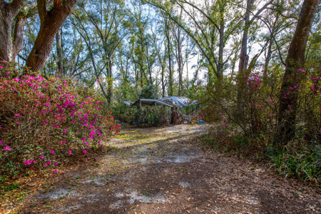 Suwannee River Retreat | 3 Acres with Scenic Water Views - image 8
