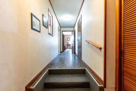 Suwannee River Retreat | 3 Acres with Scenic Water Views - image 28