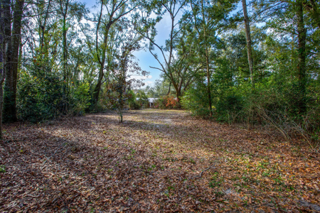 Suwannee River Retreat | 3 Acres with Scenic Water Views - image 6